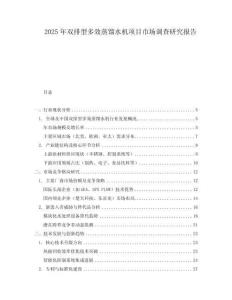 2025年雙排型多效蒸餾水機項目市場調查研究報告