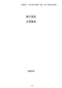西寧項(xiàng)目立項(xiàng)報(bào)告（參考）