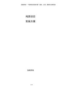 雞西項(xiàng)目實(shí)施方案（參考模板）