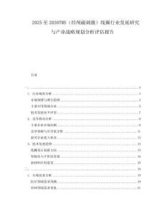 2025至2030TMS（經(jīng)顱磁刺激）線圈行業(yè)發(fā)展研究與產(chǎn)業(yè)戰(zhàn)略規(guī)劃分析評(píng)估報(bào)告