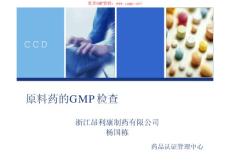 原料药的GMP检查_杨国栋