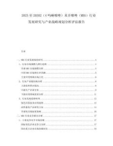2025至20302（4嗎啉噻唑）苯并噻唑（MBS）行業(yè)發(fā)展研究與產(chǎn)業(yè)戰(zhàn)略規(guī)劃分析評估報告