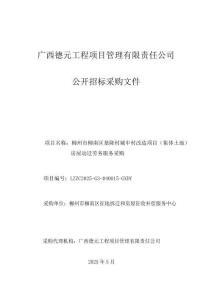 某某城中村改造項(xiàng)目（集體土地）房屋動(dòng)遷勞務(wù)服務(wù)采購(gòu)公開(kāi)招標(biāo)文件