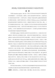重組豬γ干擾素的制備及其抗塞內卡病毒活性研究
