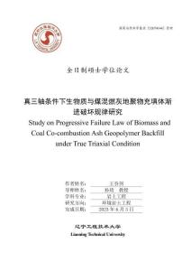 真三軸條件下生物質與煤混燃灰地聚物充填體漸進破壞規律研究