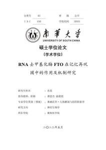 RNA去甲基化酶FTO在記憶再鞏固中的作用及機制研究