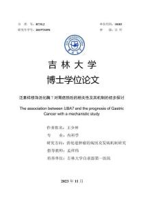 泛素样修饰活化酶7对胃癌预后的相关性及其机制的初步探讨