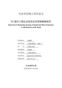 DL銀行小微企業(yè)信貸業(yè)務(wù)營銷策略研究