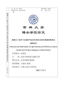 植物工廠條件下光強和氣流對生菜生長和葉燒病的影響及調控優化