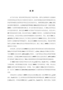 HPRT1通過調控DNA損傷反應介導特發性肺纖維化