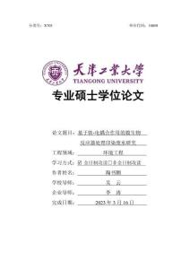 基于鐵-電耦合作用的膜生物反應(yīng)器處理印染廢水研究