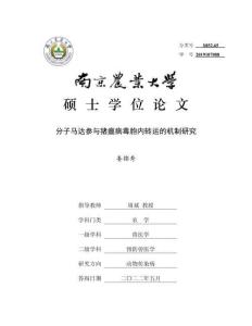 分子馬達參與豬瘟病毒胞內轉運的機制研究