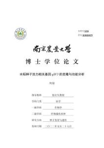 水稻種子活力相關基因qSV3的克隆與功能分析