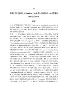 骨髓間充質(zhì)干細胞外泌體piRNA-5900調(diào)控心肌細胞鐵死亡減輕阿霉素誘導(dǎo)的心臟毒性