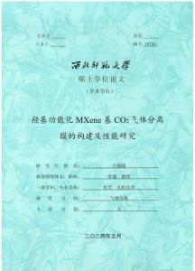 羥基功能化MXene基CO2氣體分離膜的構建及性能研究
