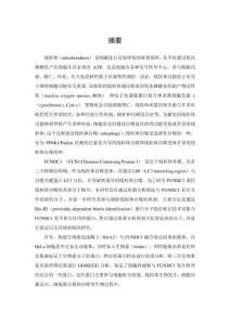 線粒體自噬調控的新因子篩選及其功能研究