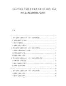 2025至2030全球及中國無線電接入網（RAN）行業調研及市場前景預測評估報告