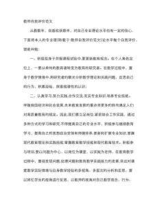 2025年教師自我評價范文