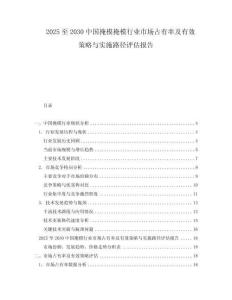2025至2030中國掩模掩模行業(yè)市場占有率及有效策略與實施路徑評估報告