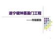 .12.11遂寧健坤喜盈門項目市場報告