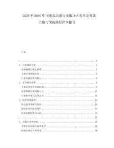 2025至2030中國電起動器行業(yè)市場占有率及有效策略與實施路徑評估報告