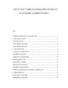 2025至2030中國(guó)磁力電動(dòng)機(jī)起動(dòng)器行業(yè)市場(chǎng)占有率及有效策略與實(shí)施路徑評(píng)估報(bào)告