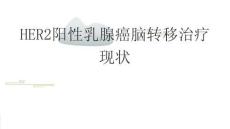 HER2陽性乳腺癌腦轉(zhuǎn)移治療現(xiàn)狀2025
