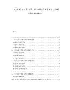 2025至2031年中國大型車輪拆裝機市場現狀分析及前景預測報告
