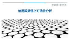 信用數(shù)據(jù)鏈上可信性分析-洞察剖析