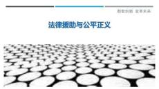 法律援助與公平正義-洞察剖析