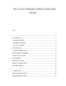 2025至2030中國軟線機行業調研及市場前景預測評估報告