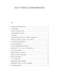 2025年中國斜紋方孔網(wǎng)數(shù)據(jù)監(jiān)測研究報告