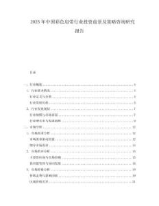 2025年中國彩色肩帶行業投資前景及策略咨詢研究報告