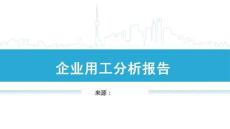 企業(yè)用工分析報(bào)告