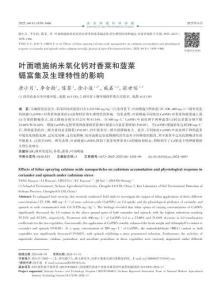 葉面噴施納米氧化鈣對香菜和菠菜鎘富集及生理特性的影響