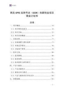 網關GPRS支持節點（GGSN）創新創業項目商業計劃書