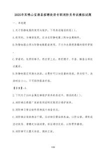 2025年雙鴨山寶清縣招聘政府專職消防員考試模擬試題（含答案）
