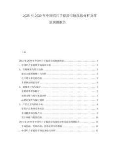 2025至2030年中國(guó)唱片手提袋市場(chǎng)現(xiàn)狀分析及前景預(yù)測(cè)報(bào)告