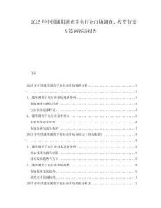 2025年中國(guó)通用測(cè)光手電行業(yè)市場(chǎng)調(diào)查、投資前景及策略咨詢報(bào)告