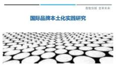 國際品牌本土化實踐研究最佳分析