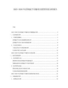2025-2030年活絡(luò)扳手全拋項(xiàng)目投資價(jià)值分析報(bào)告