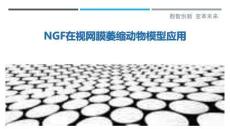 NGF在視網膜萎縮動物模型應用最佳分析