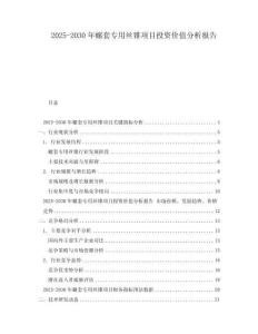 2025-2030年螺套專用絲錐項目投資價值分析報告