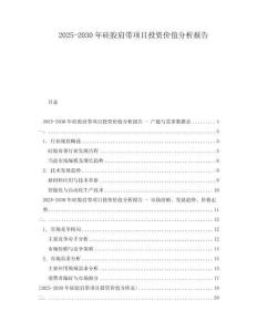 2025-2030年硅膠肩帶項(xiàng)目投資價(jià)值分析報(bào)告