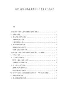 2025-2030年勤務(wù)頭盔項目投資價值分析報告