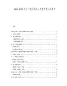 2025-2030年牛仔噴砂機(jī)項(xiàng)目投資價(jià)值分析報(bào)告
