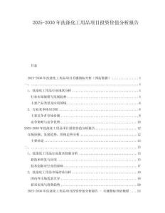 2025-2030年洗滌化工用品項(xiàng)目投資價(jià)值分析報(bào)告