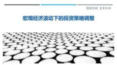 宏觀經濟波動下的投資策略調整最佳分析