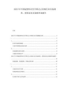 2025年中國氟塑料襯里升降式止回閥行業市場調查、投資前景及策略咨詢報告