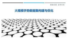 大規(guī)模手勢(shì)數(shù)據(jù)集構(gòu)建與優(yōu)化最佳分析